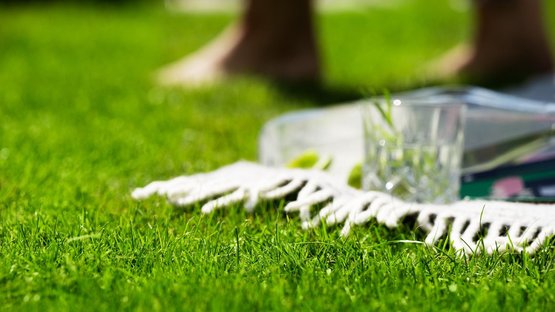 Rejuvenate your lawn like a pro
